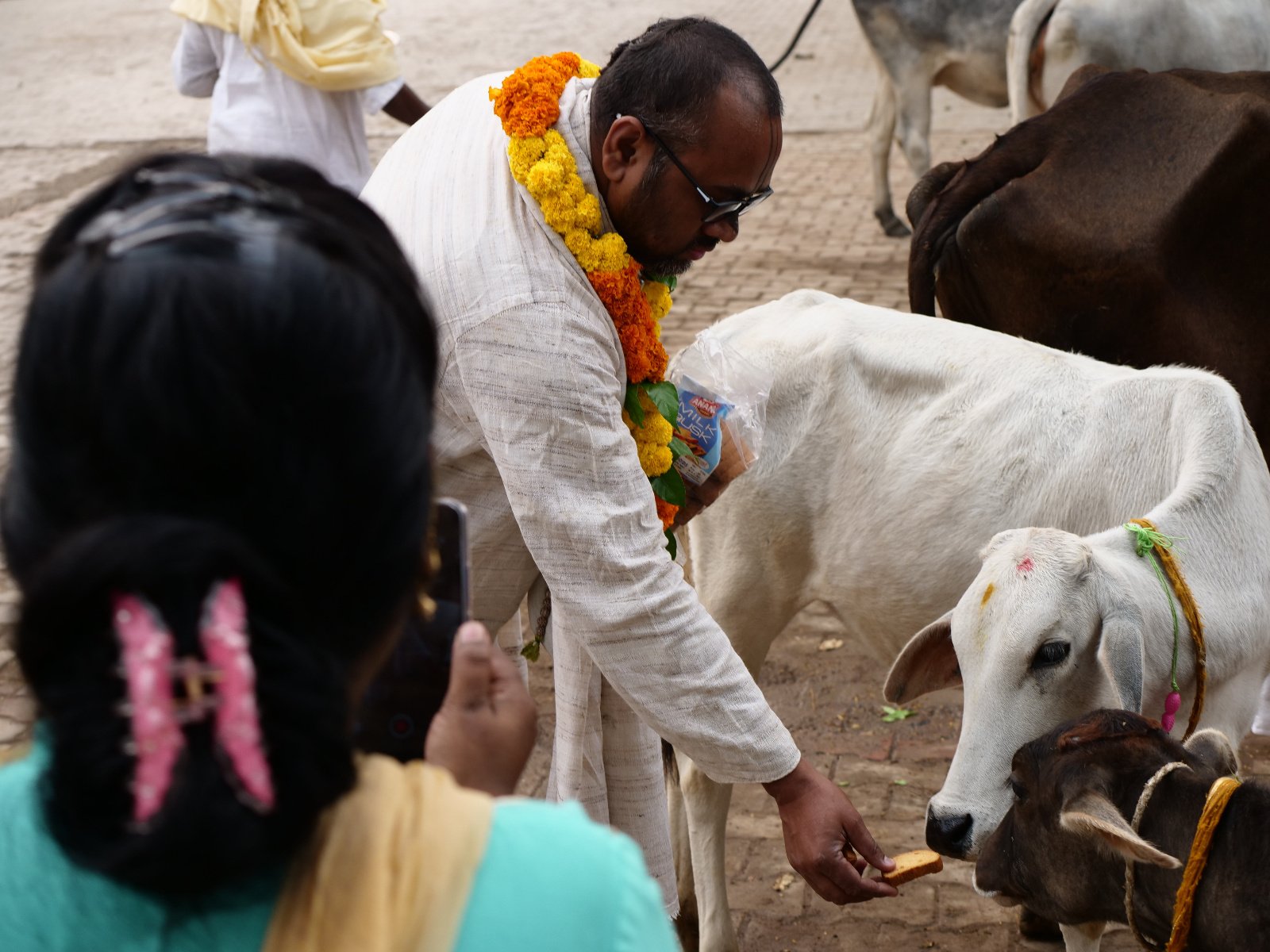  24 Gopashtami Radha kunda Govardhan 19.11.04